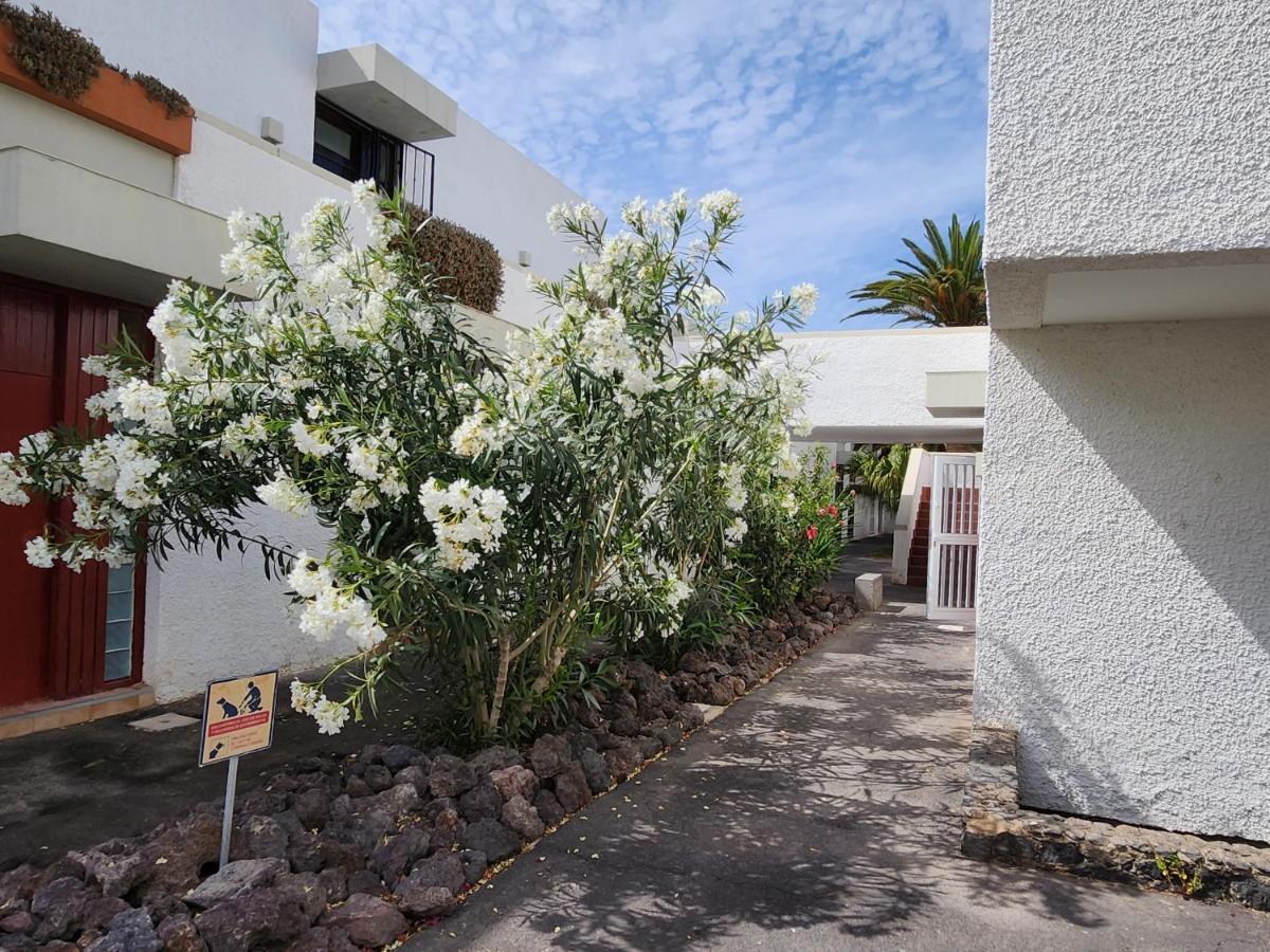 Casa De Mariposas Apartment Costa Del Silencio Exterior photo